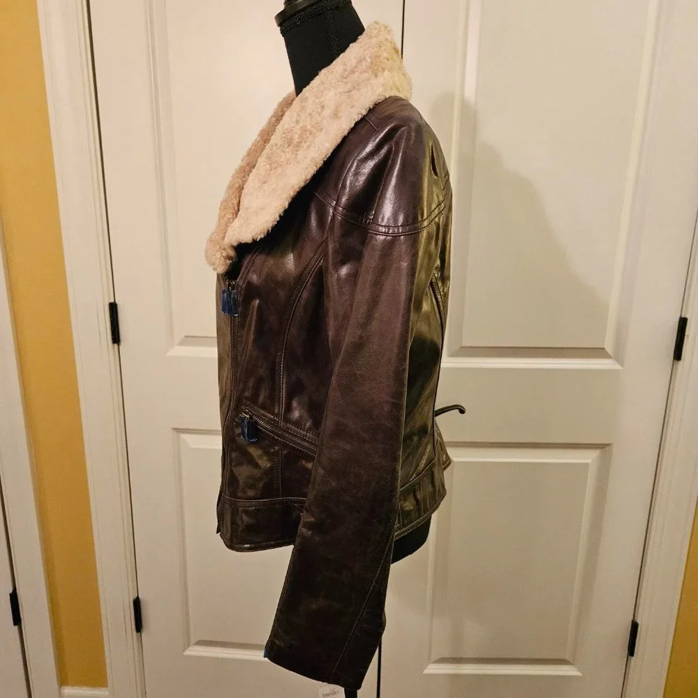 Gorgeous Chocolate Brown Bomber Jacket by Laundry - Picture 4 of 9